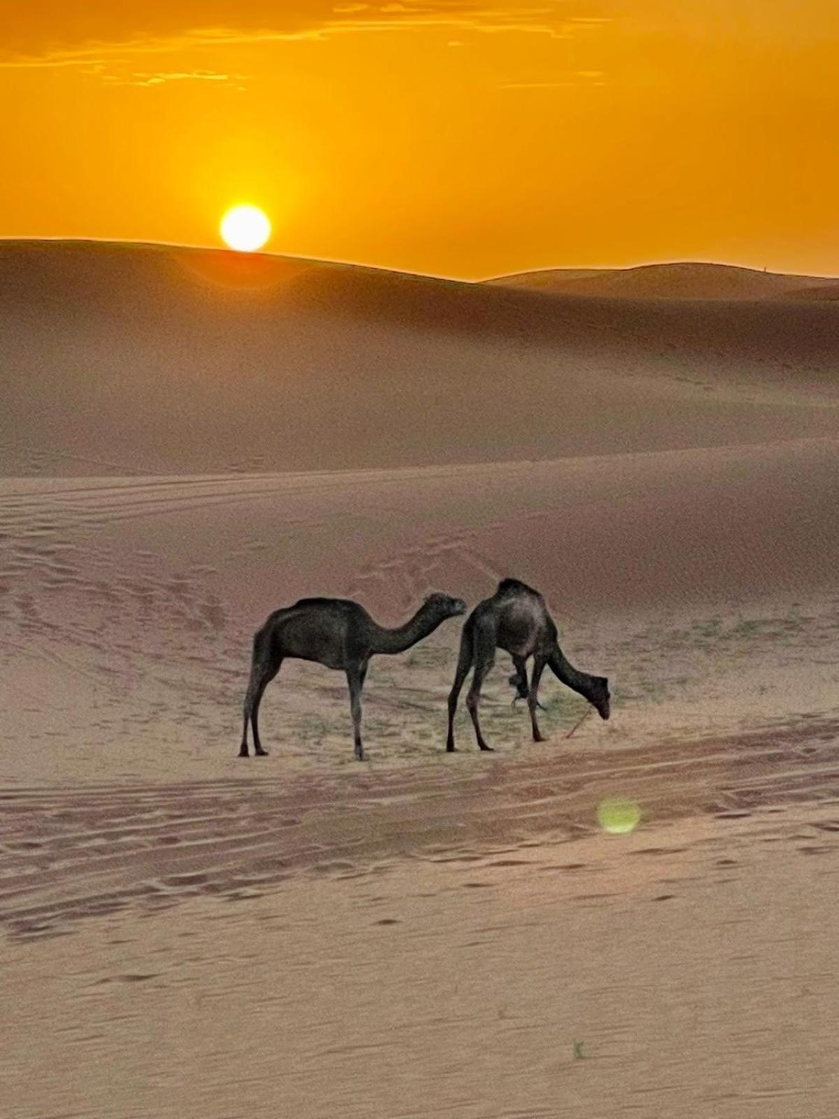 Chigaga Desert Camp M'Hamid Exterior photo